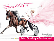Prix d'Amérique Marionnaud 2009, 88ème édition. Prix d'Amérique Marionnaud 2009, 88ème édition.